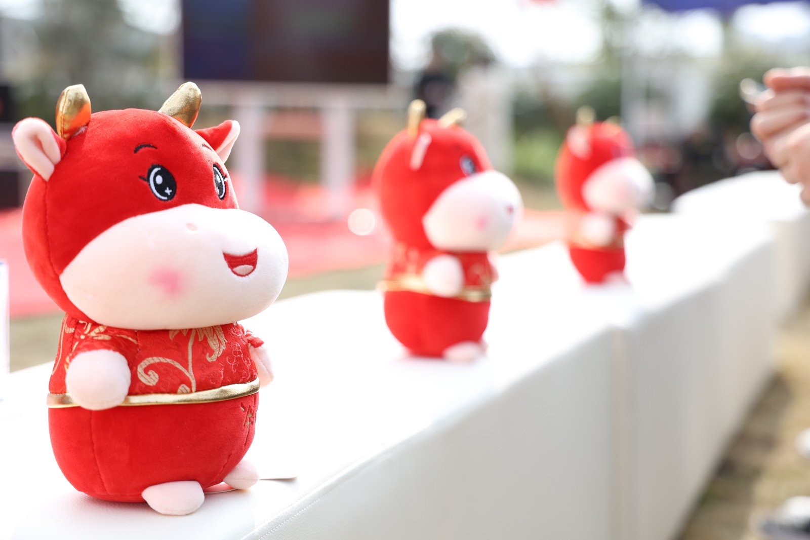 1617261796622067.jpg 1617261796622067.jpg